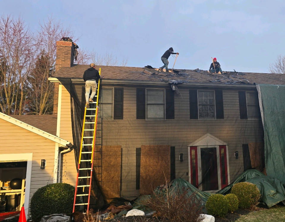 Amalia Renovations Content Media Frame 1